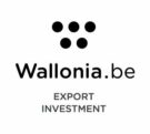 Wallonia Export Investment